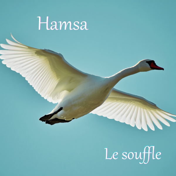 Cygne en vol dans un beau ciel bleu