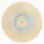 Chakra-7-Sahasrara-600x600